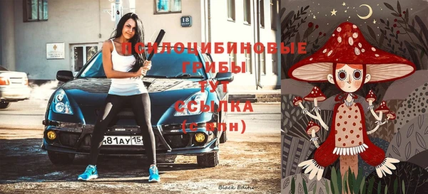 таблы Верхний Тагил