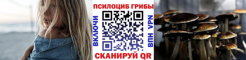 Псилоцибиновые грибы Cubensis  Вичуга 
