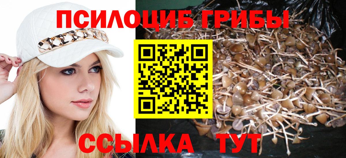 Псилоцибиновые грибы GOLDEN TEACHER  Вход с VPN  Вичуга 