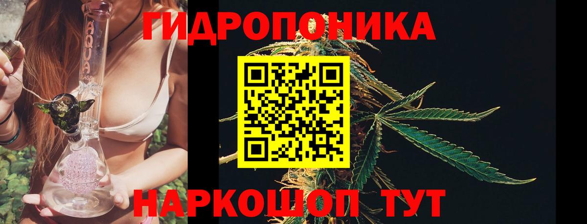 Бошки марихуана MAZAR  Вход с VPN  Вичуга  Бошки Шишки MAZAR  Шишки марихуана гибрид 